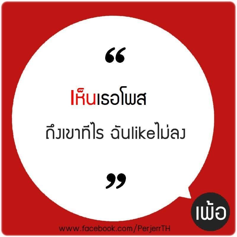 เเคปชั่นโสด