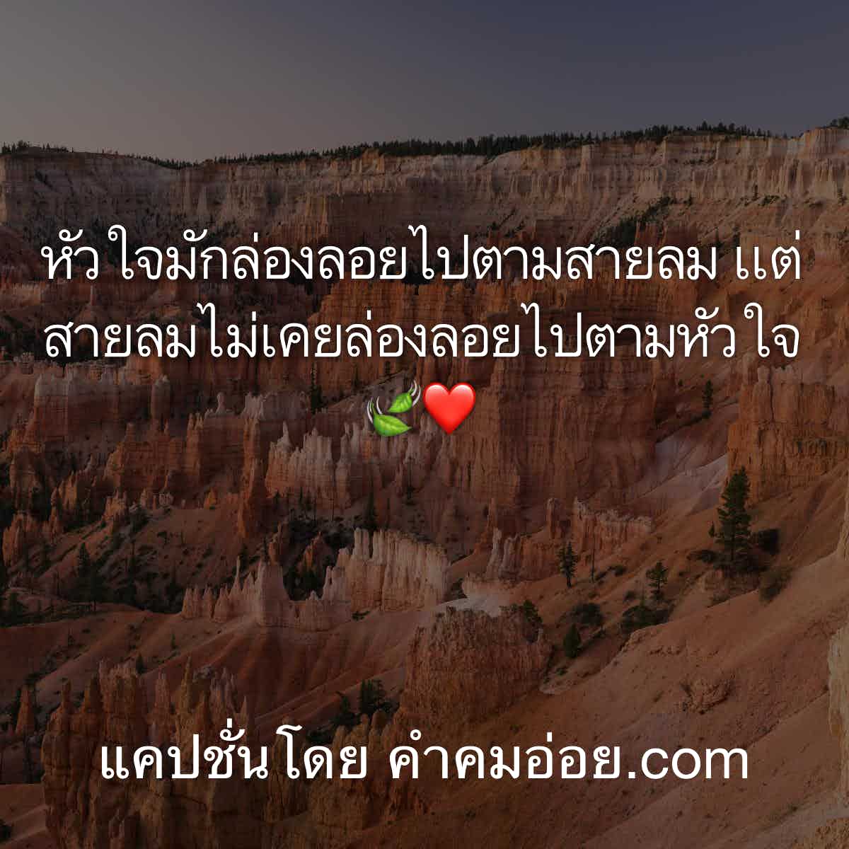 แคปชั่นความรัก
