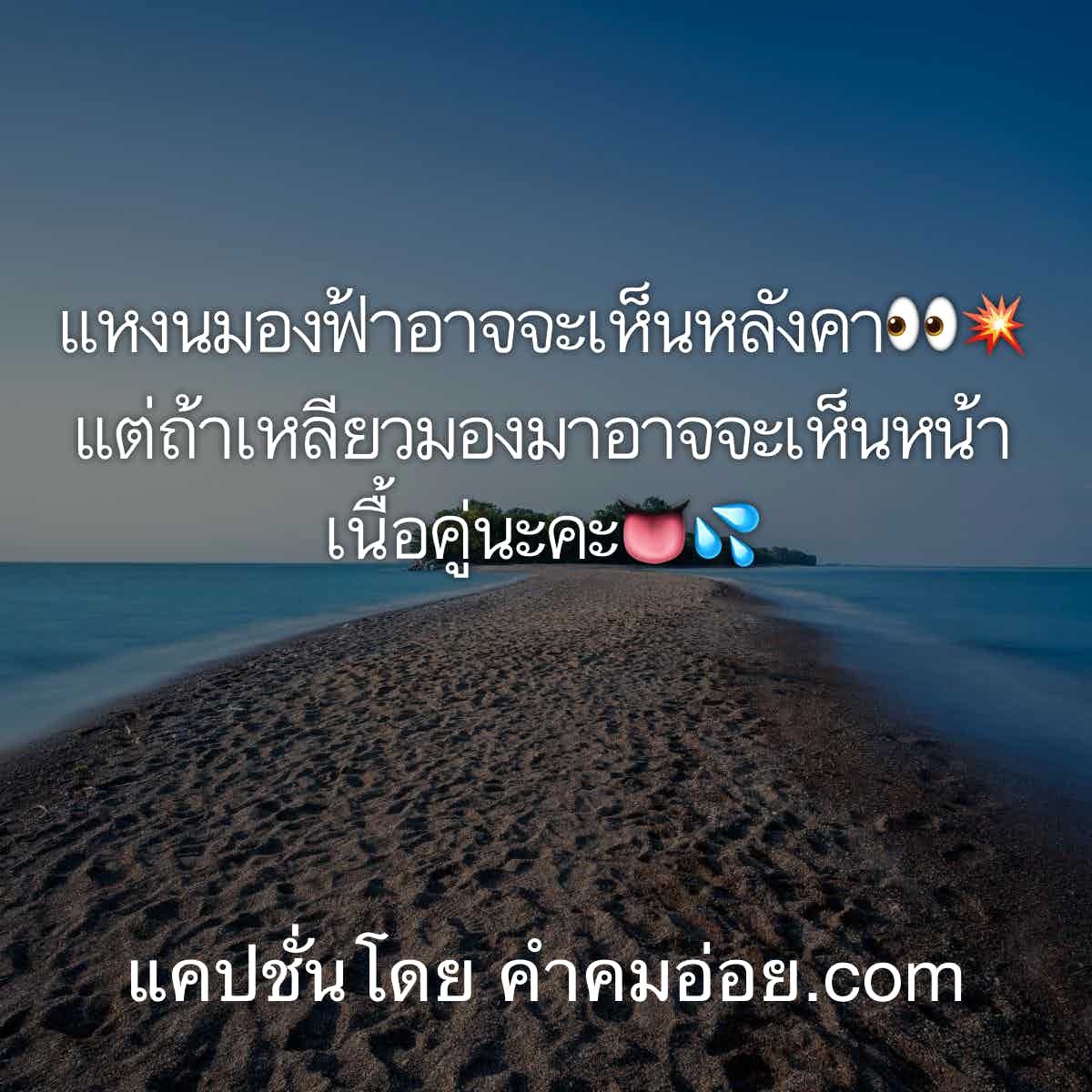 แคปชั่น2019