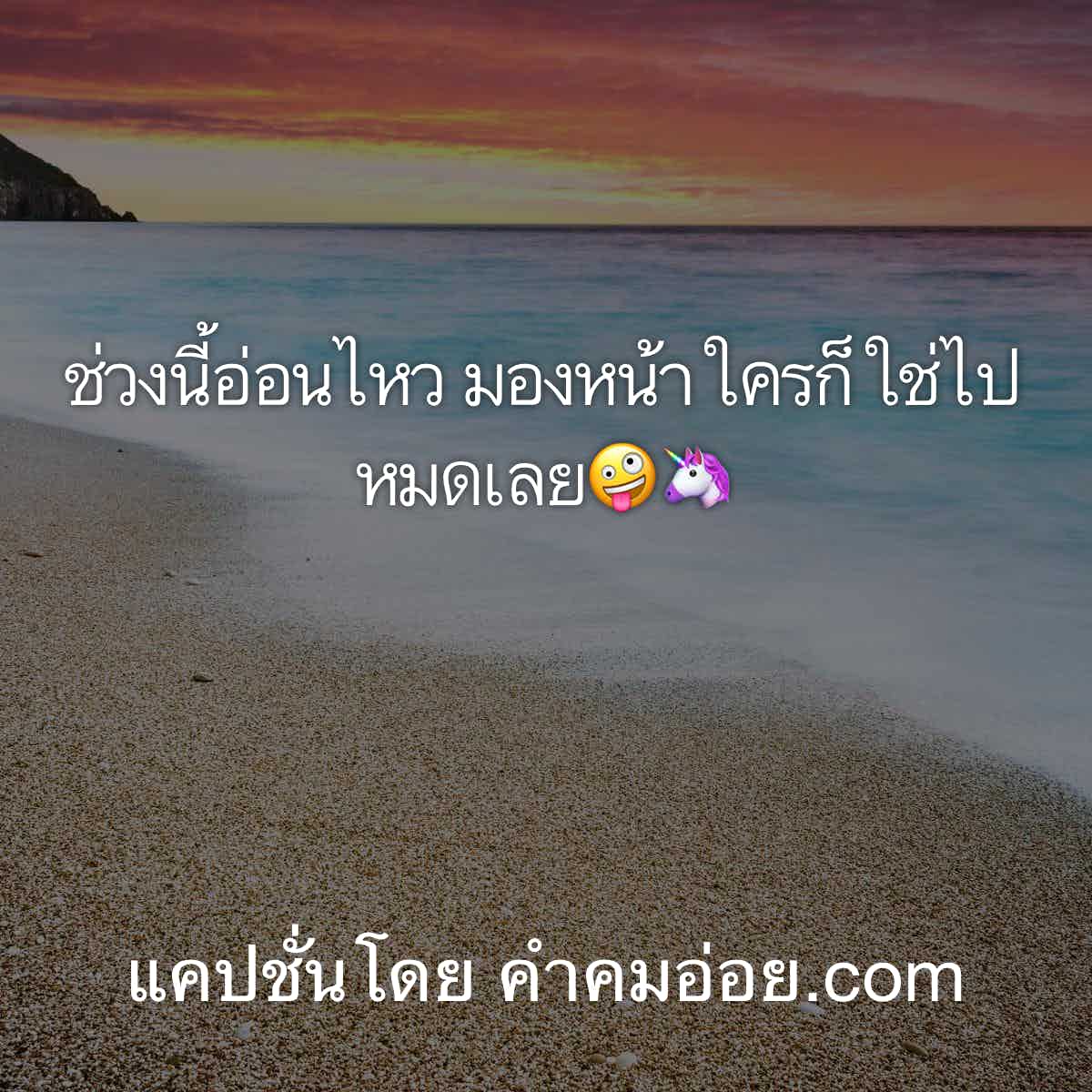 แคปชั่นโสด