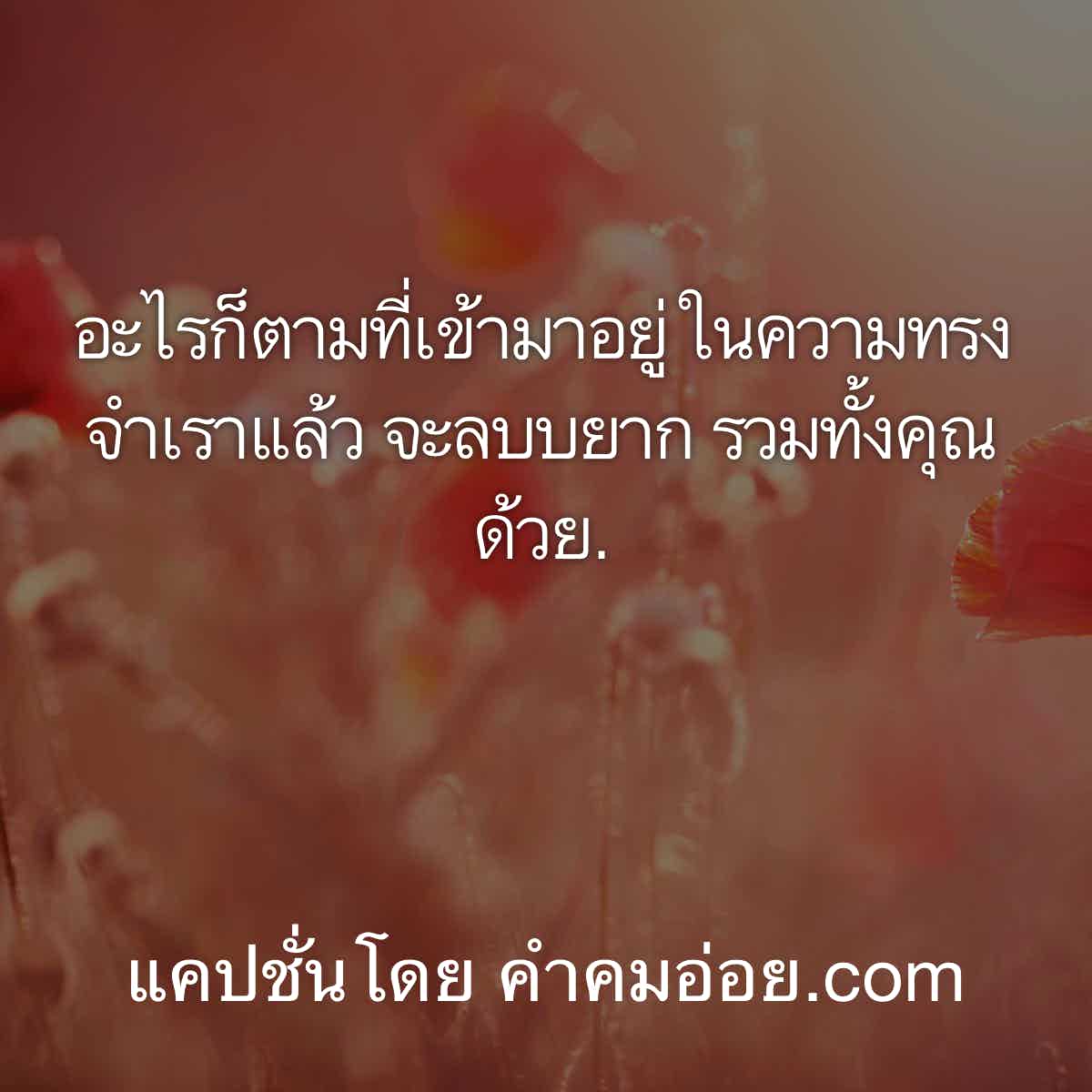 แพ้แฟนเก่า