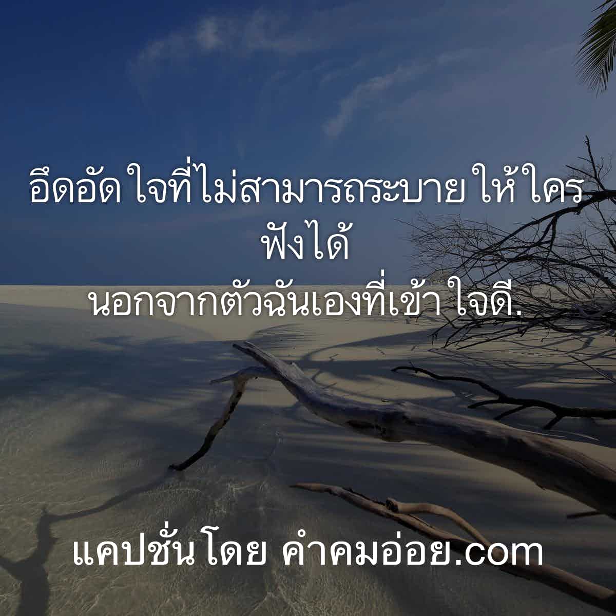 ความรู้สึกล้วนๆ