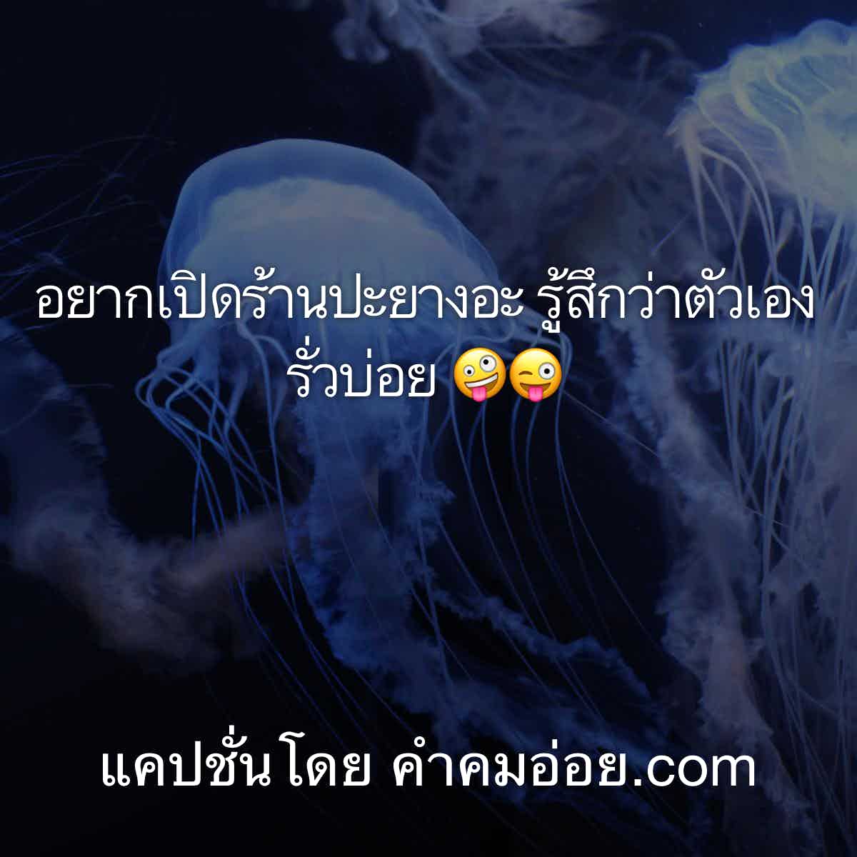 แคปชั่นเสี่ยว