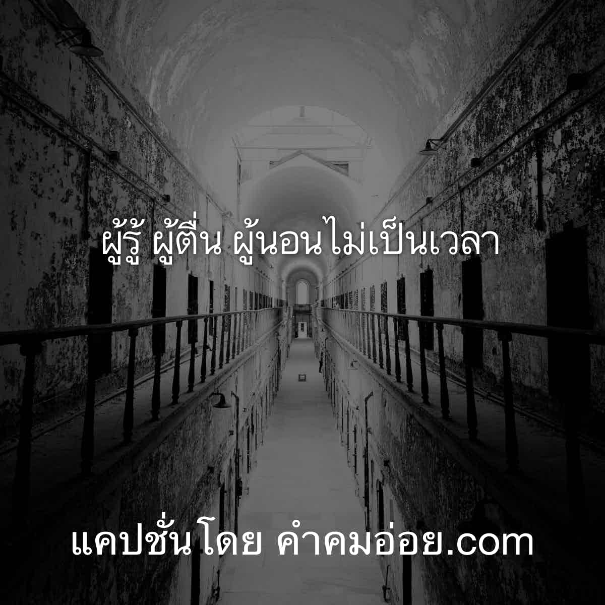 แคปชั่นกวนตีน